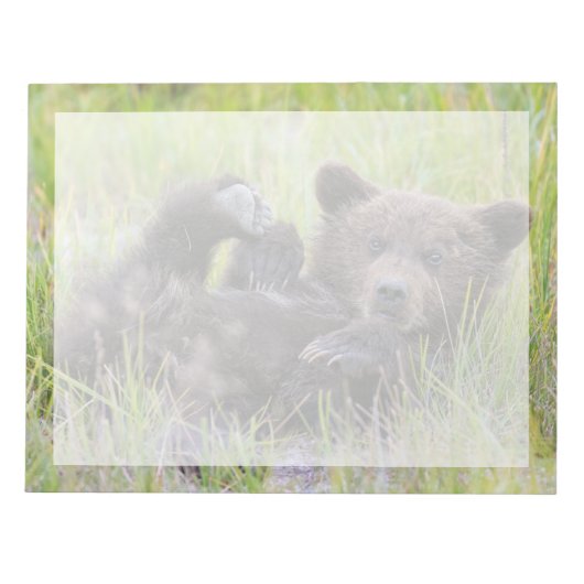 Kutest Baby Animals | Baby Bruine Beer Cub Notitieblok (Voorkant)
