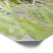 Kutest Baby Animals | Baby Bruine Beer Cub Poster (Hoek)