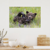 Kutest Baby Animals | Baby Bruine Beer Cub Poster (Keuken)