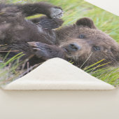 Kutest Baby Animals | Baby Bruine Beer Cub Sherpa Deken (3/4)