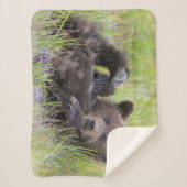Kutest Baby Animals | Baby Bruine Beer Cub Sherpa Deken (Voorkant)