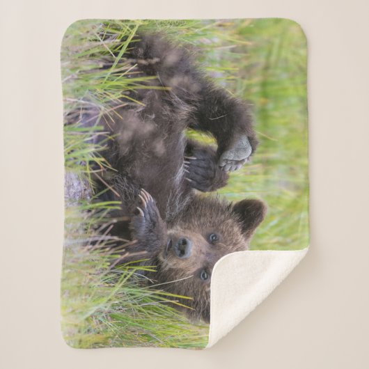 Kutest Baby Animals | Baby Bruine Beer Cub Sherpa Deken (Voorkant)