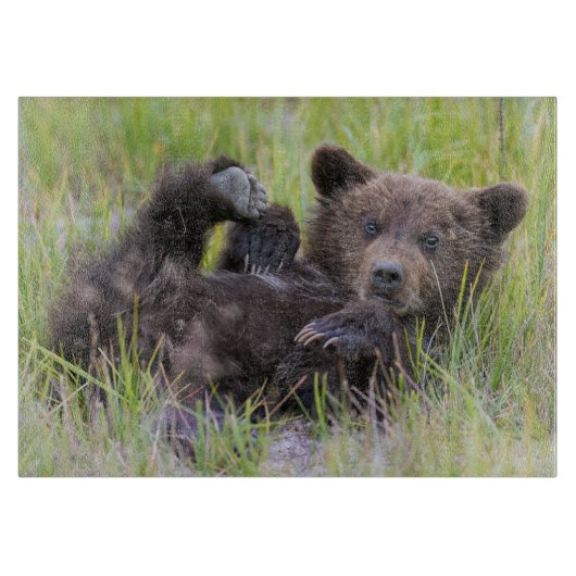 Kutest Baby Animals | Baby Bruine Beer Cub Snijplank (Voorkant)