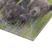 Kutest Baby Animals | Baby Bruine Beer Cub Snijplank (Hoek)