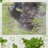 Kutest Baby Animals | Baby Bruine Beer Cub Theedoek (Gevouwen)