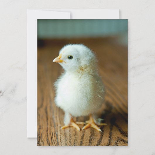 Kutest Baby Animals | Baby Chick Bedankkaart (Voorkant)