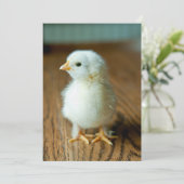 Kutest Baby Animals | Baby Chick Bedankkaart (Staand voorkant)