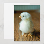 Kutest Baby Animals | Baby Chick Bedankkaart (Voorkant / Achterkant)