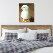 Kutest Baby Animals | Baby Chick Canvas Afdruk (Insitu (Slaapkamer))