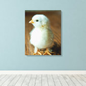 Kutest Baby Animals | Baby Chick Canvas Afdruk (Insitu (Houten vloer))