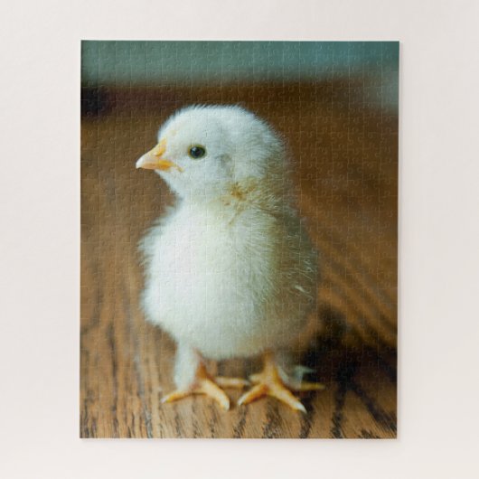 Kutest Baby Animals | Baby Chick Legpuzzel (Verticaal)