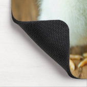 Kutest Baby Animals | Baby Chick Muismat (Hoek)