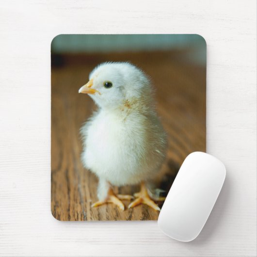 Kutest Baby Animals | Baby Chick Muismat (Met muis)