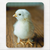 Kutest Baby Animals | Baby Chick Muismat (Voorkant)