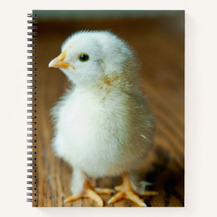 Kutest Baby Animals   Baby Chick Notitieboek
