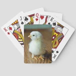 Kutest Baby Animals   Baby Chick Pokerkaarten