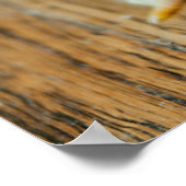 Kutest Baby Animals | Baby Chick Poster (Hoek)