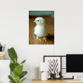 Kutest Baby Animals | Baby Chick Poster (Thuiskantoor)