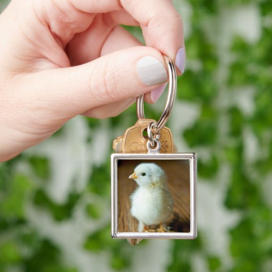Kutest Baby Animals | Baby Chick Sleutelhanger (Hand)