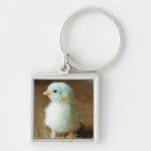 Kutest Baby Animals | Baby Chick Sleutelhanger (Voorkant)