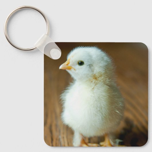 Kutest Baby Animals | Baby Chick Sleutelhanger (Voorkant)