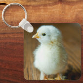 Kutest Baby Animals | Baby Chick Sleutelhanger (Voorkant)