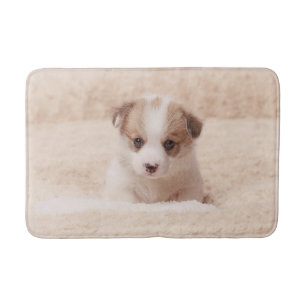 Kutest Baby Animals   Baby Corgi Badmat