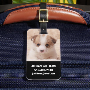 Kutest Baby Animals   Baby Corgi Bagagelabel