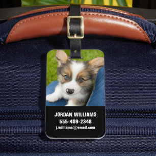 Kutest Baby Animals   Baby Corgi in Mijn programma Bagagelabel