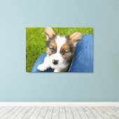 Kutest Baby Animals | Baby Corgi in Mijn programma Canvas Afdruk (Insitu (Houten vloer))
