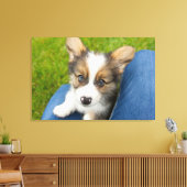 Kutest Baby Animals | Baby Corgi in Mijn programma Canvas Afdruk (Insitu (Woonkamer))