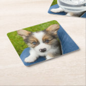 Kutest Baby Animals | Baby Corgi in Mijn programma Kartonnen Onderzetters (Schuin)