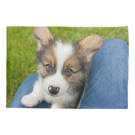 Kutest Baby Animals | Baby Corgi in Mijn programma Kussensloop (Achterkant)