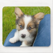 Kutest Baby Animals | Baby Corgi in Mijn programma Muismat (Voorkant)