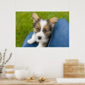 Kutest Baby Animals | Baby Corgi in Mijn programma Poster (Keuken)
