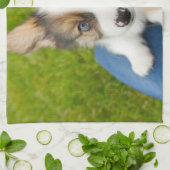 Kutest Baby Animals | Baby Corgi in Mijn programma Theedoek (Gevouwen)