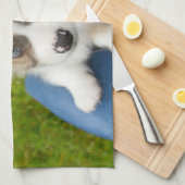 Kutest Baby Animals | Baby Corgi in Mijn programma Theedoek (Quarter Fold)