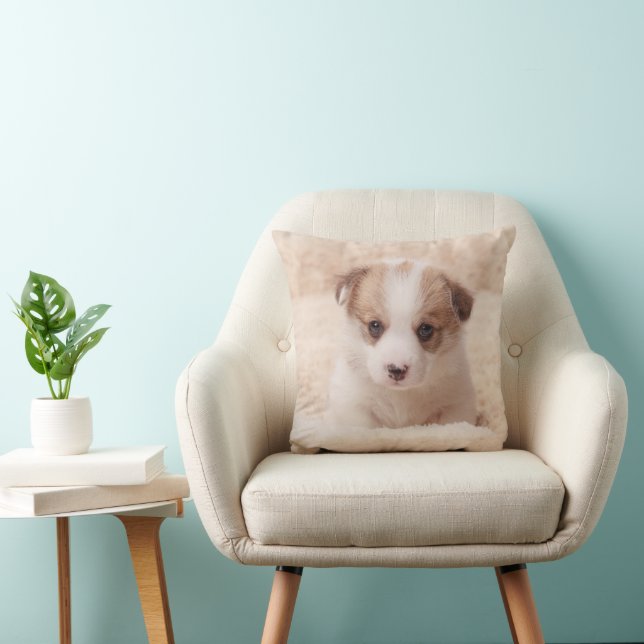 Kutest Baby Animals | Baby Corgi Kussen (Stoel)