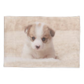 Kutest Baby Animals | Baby Corgi Kussensloop (Achterkant)