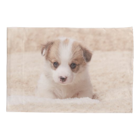 Kutest Baby Animals | Baby Corgi Kussensloop (Achterkant)