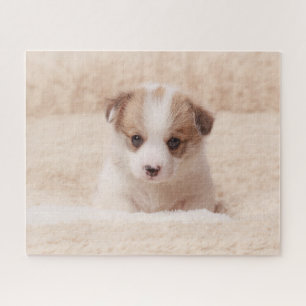 Kutest Baby Animals   Baby Corgi Legpuzzel