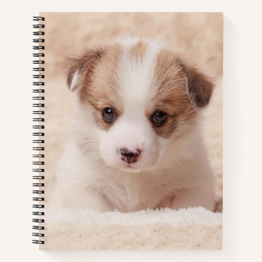 Kutest Baby Animals | Baby Corgi Notitieboek (Voorkant)