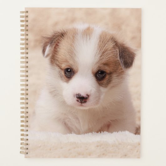 Kutest Baby Animals | Baby Corgi Planner (Voorkant)