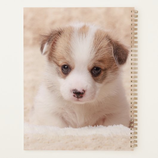 Kutest Baby Animals | Baby Corgi Planner (Achterkant)