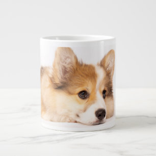 Kutest Baby Animals   Baby Corgi Puppy Portret Grote Koffiekop