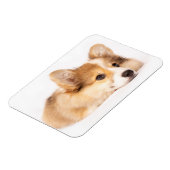 Kutest Baby Animals | Baby Corgi Puppy Portret Magneet (Linkerzijde)