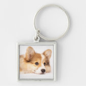 Kutest Baby Animals | Baby Corgi Puppy Portret Sleutelhanger (Voorkant)