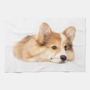Kutest Baby Animals Baby Corgi Puppy Portret Theedoek
