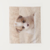 Kutest Baby Animals | Baby Corgi Wandkleed (Voorkant)