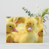 Kutest Baby Animals | Baby Duck-groep Bedankkaart (Staand voorkant)